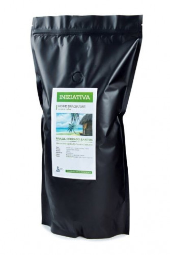 INIZIATIVA БРАЗИЛИЯ